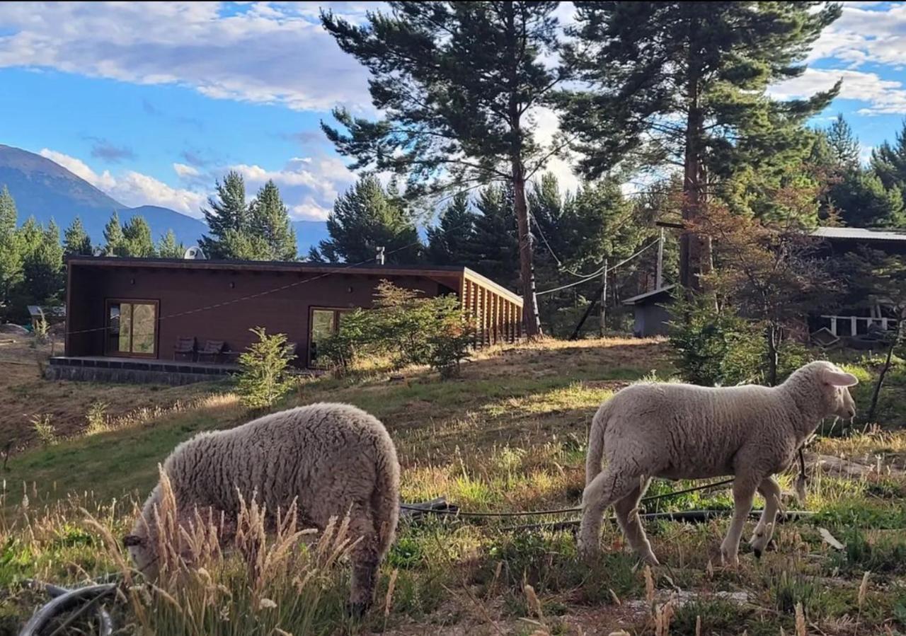 Turismo Y Cabanas Dragon De La Patagonia Apartman Cochrane Kültér fotó