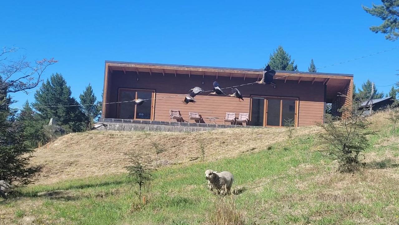 Turismo Y Cabanas Dragon De La Patagonia Apartman Cochrane Kültér fotó